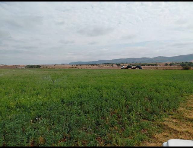 FARM FOR SALE IN BOSCHFONTEIN AH